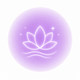 Purple Light Blend